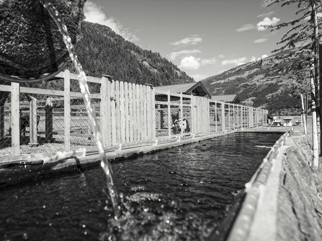 Apartment Sonnenau Zell am Ziller Kültér fotó